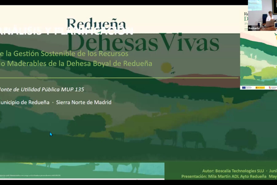 3.1 Mila Martin ponencia 1 1