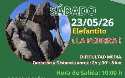 El Elefantito de La Pedriza: Un viaje al corazón de piedra de la Sierra de Guadarrama
