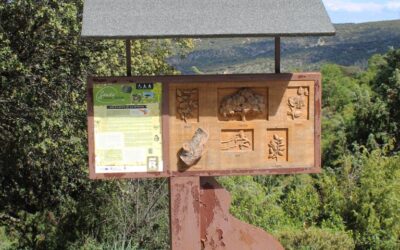 Redueña, un referente en turismo inclusivo: la Senda para Todos de la Dehesa Boyal