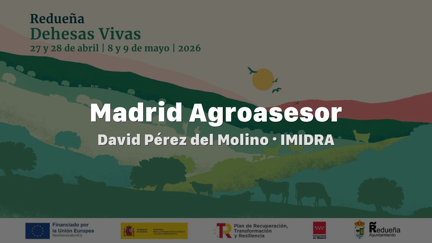 David Pérez del Molino - IMIDRA